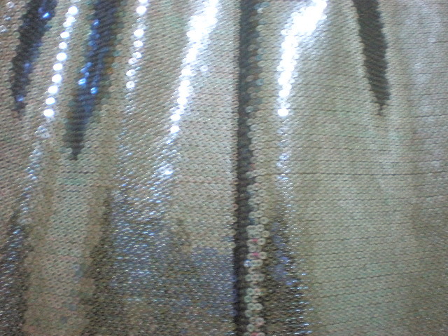 2.White-Silver Stage Line Sequins